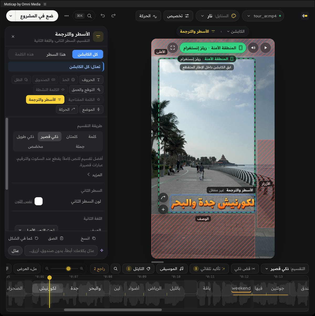The Moticap panel inside Premiere Pro, with the Lines & translation part open